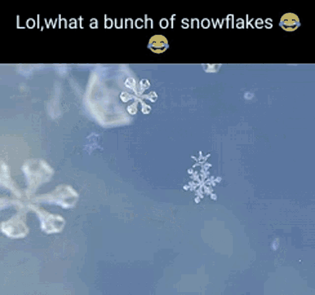 Snowflakes Lol GIF - Snowflakes Lol Snowflake GIFs