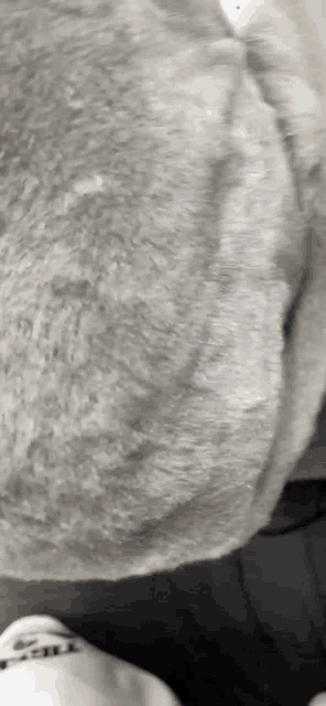 a close up of a gray furry object with a person 's feet in the foreground
