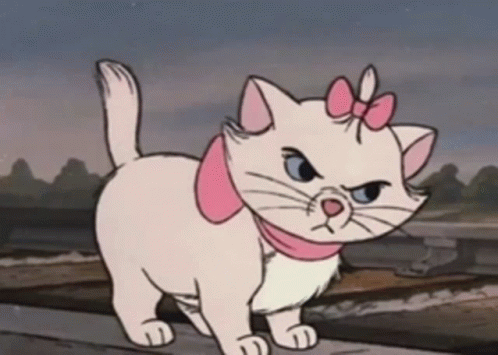 Marie Cat GIF - Marie Cat GIFs