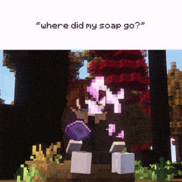 a screenshot of a video game with the words " where did my soap go " at the top