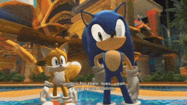 sonic the hedgehog and tails are standing next to each other
