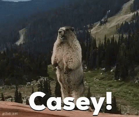 Casey Btb GIF - Casey Btb Casey GIFs