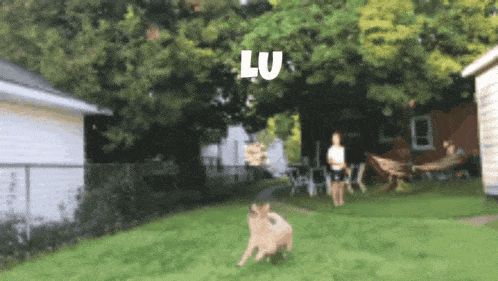 a dog is running in a yard with the word lu written above it