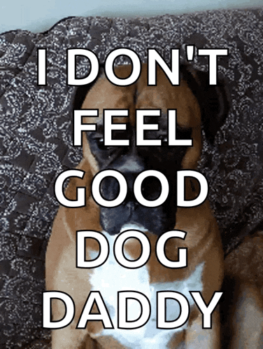 a boxer dog laying on a couch with the words i don t feel good dog daddy