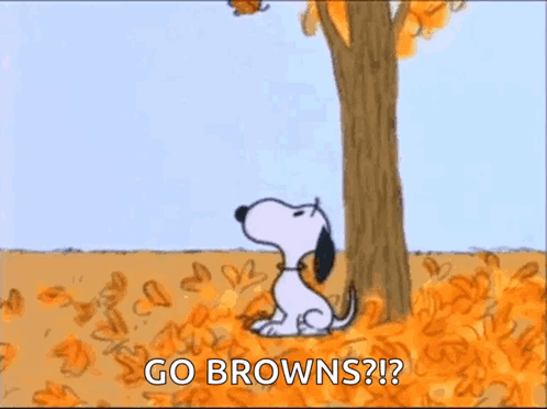 Good Morning Snoopy GIF - Good Morning Snoopy Falling Leaf GIFs