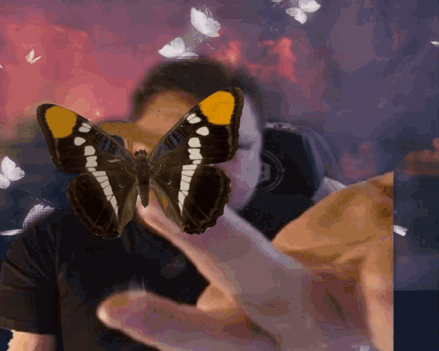 a butterfly is flying over a man 's face with the letter b visible