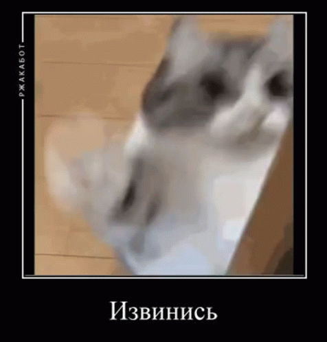 Comaru Comaru Cat GIF - Comaru Comaru Cat коткомару GIFs