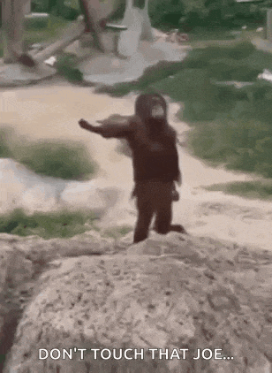 a monkey is standing on top of a rock in a zoo .