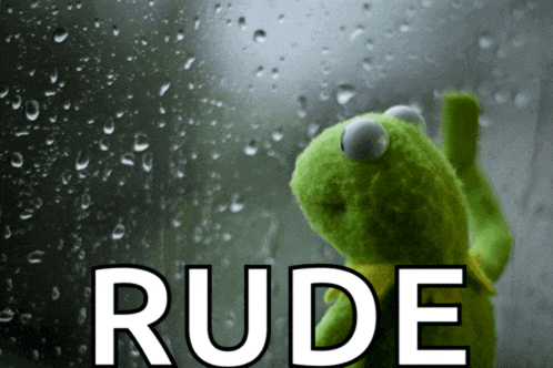 a kermit the frog looking out a window with the word rude written below him