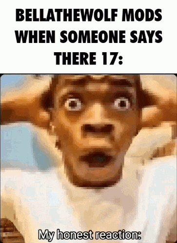 bellathewolf mods when someone says there 17 : my honest reaction :
