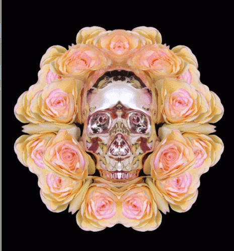 Skull Calavera GIF - Skull Calavera Teschio GIFs