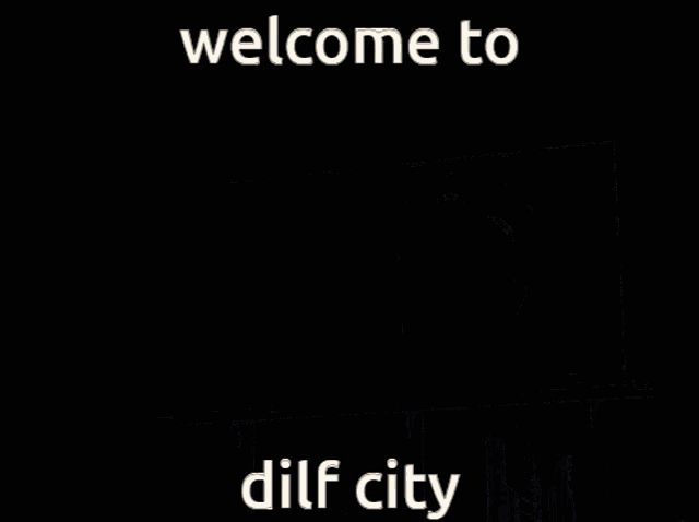a picture of a city with the words welcome to dilf city below it