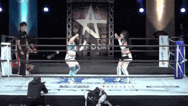 two women are wrestling in a ring with a sign that says kingdom