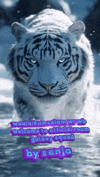 a picture of a white tiger with the words welcome to official room galaxy squad