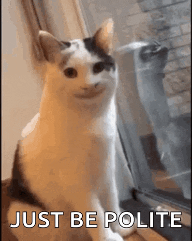 a cat with a smiley face is sitting in front of a window with the words just be polite above it .