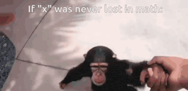 a chimpanzee is being held by a person 's hand in a meme .