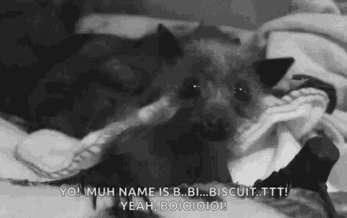 a black and white photo of a bat on a bed