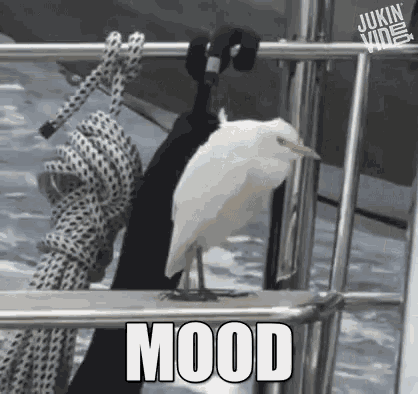 Mood Tough Day GIF - Mood Tough Day Hanging In There GIFs