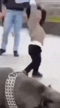 a little girl is standing next to a dog while a man stands behind her .