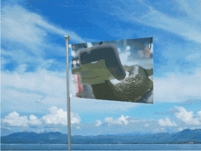 a flag with shrek 's face on it is flying in the wind