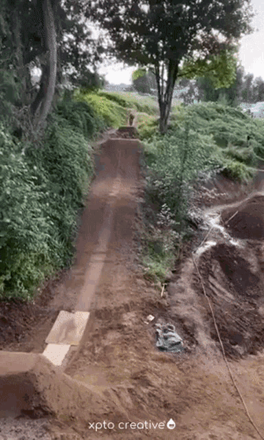a person riding a bike down a dirt path with xpto creative in the corner