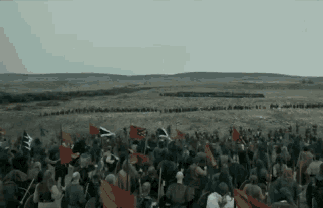 a large group of people are standing in a field holding flags and one of them has the letter n on it