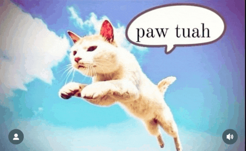 a cat jumping in the air with a paw tuah speech bubble above it