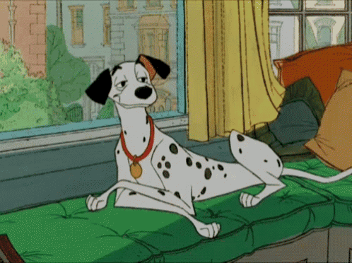 a dalmatian dog is sitting on a green cushion looking out a window