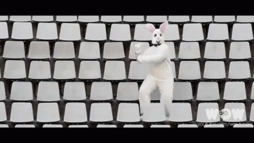 такмило мило ура радость зайчик заяц праздную танцую GIF - So Cute Aww Bunny GIFs