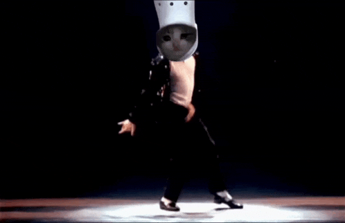 a man is dancing on a stage with a cat in a bucket hat on his head .