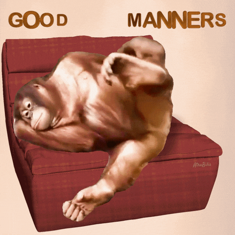 a picture of a monkey laying on a chair with the words good manners below it