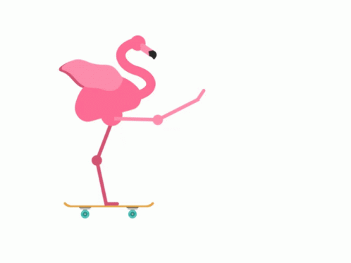 Flamingo Skateboarding GIF - Flamingo Skateboarding GIFs