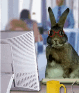 a rabbit wearing red glasses sits on a desk
