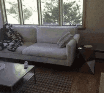 a living room with a white couch and a coffee table .