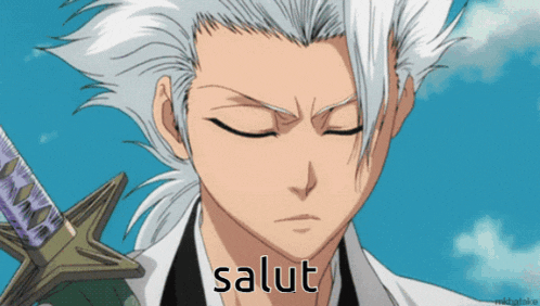 a cartoon character with a sword and the word salut