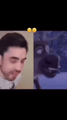 a man is making a funny face next to a picture of a horse making a funny face .