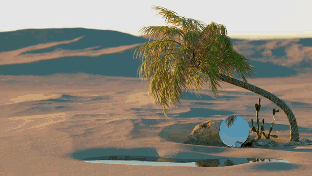 Oasis Palm GIF - Oasis Palm Relaxing GIFs