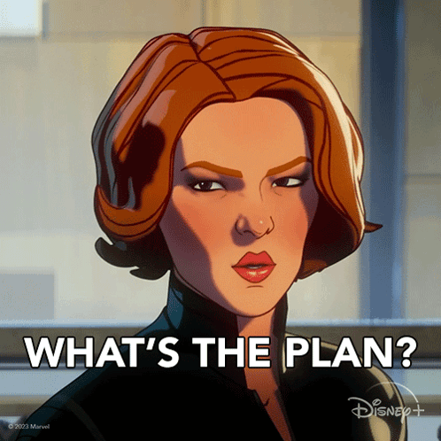 What'S The Plan Black Widow GIF - What'S The Plan Black Widow Natasha Romanoff GIFs
