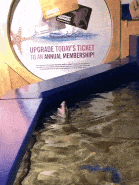 a sign that says upgrade today 's ticket to an annual membership in front of a fish tank