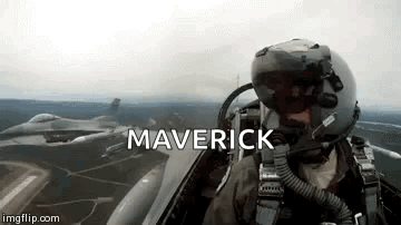 Planes Flying GIF - Planes Flying Pilot GIFs