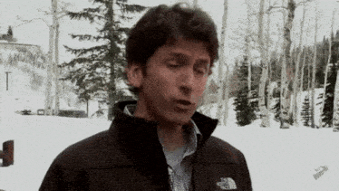 a man wearing a black north face jacket stands in the snow