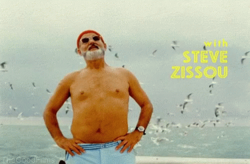 Steve Zissou Bill Murray GIF - Steve Zissou Bill Murray Pose GIFs