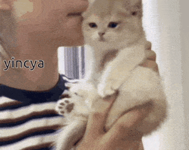 a person is holding a kitten in their arms and the kitten is being kissed by the person