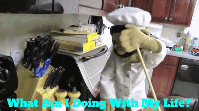 a puppet in a chef 's outfit is standing in a kitchen with the words what am i doing with my life