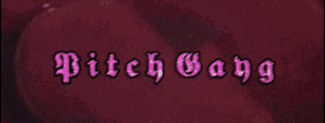 a picture of a pink rose with the words bitch gang written on it