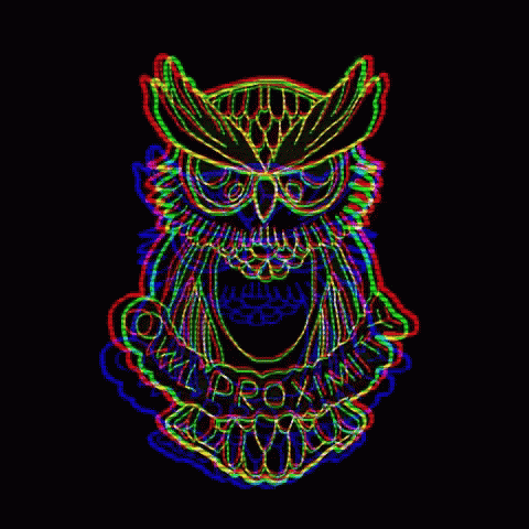 Owl Proximity GIF - Owl Proximity Proximity Owl GIFs