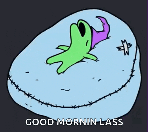 a cartoon of a frog with the words good mornin lass written below it