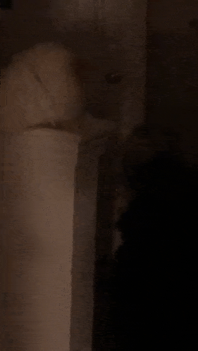 a close up of a person 's arm in a dark room