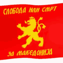 a red flag with a yellow lion and the words " za makedonija " on it