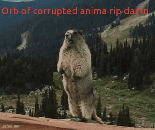 Damn Orb Of Corrupted Animal GIF - Damn Orb Of Corrupted Animal Rip Damn GIFs